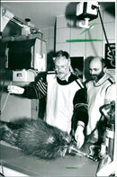 1994 BETAUBUNG OPERATION HOOF CARE MATERN HIS COLLEAGUES - Vintage Photograph