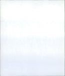 ANIMALS EXOTARIUM IGUANA SKINKE BASIL GECHOS AGAMEN LIZARDS ARE - Vintage Photograph