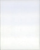 1987 ANIMALS EXOTARIUM LIZARDS IGUANA SKINKE BASIL GECHOS AGAM - Vintage Photograph