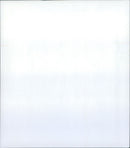 1991 ANIMALS EXOTARIUM LIZARDS IGUANA SKINKE BASIL GECHOS AGAMEN YOUNG RHI - Vintage Photograph