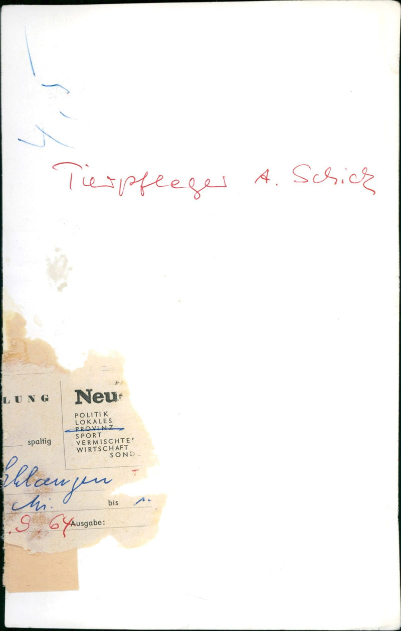 Zookeeper with a snake - Vintage Photograph