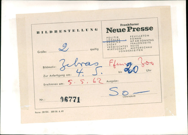 Zebra - zoo animals - Vintage Photograph