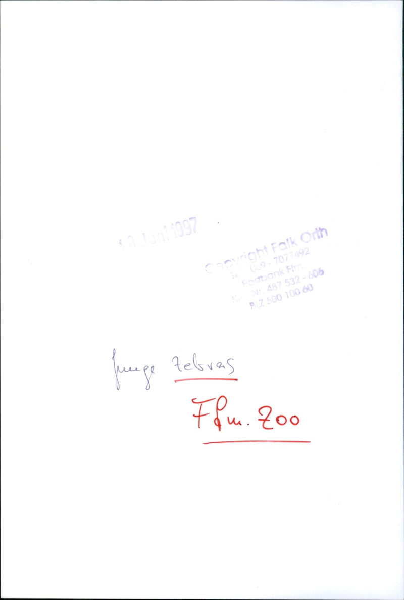 Zebra - zoo animals - Vintage Photograph