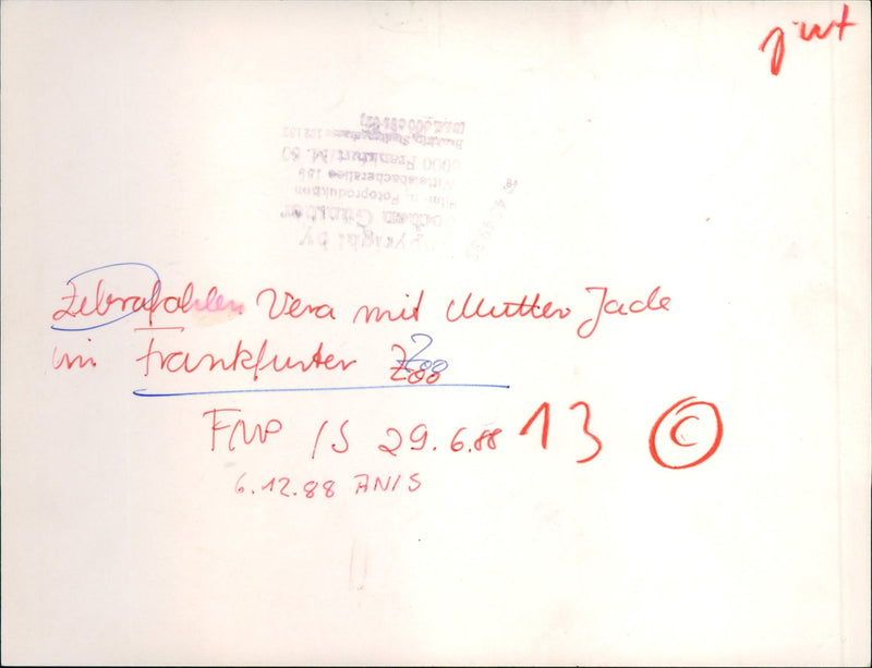 Vera & Jade - Zoo animals - Vintage Photograph