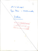 Zebra - zoo animals - Vintage Photograph