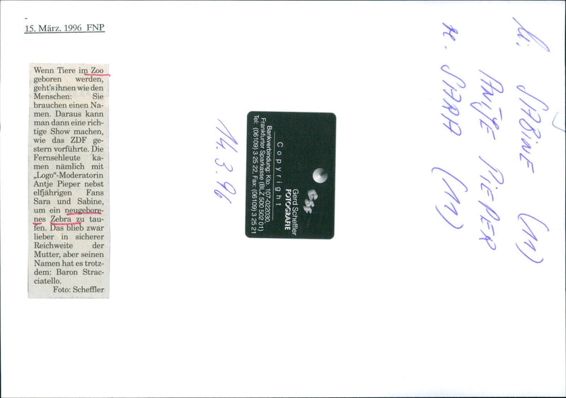 Zebra - zoo animals - Vintage Photograph