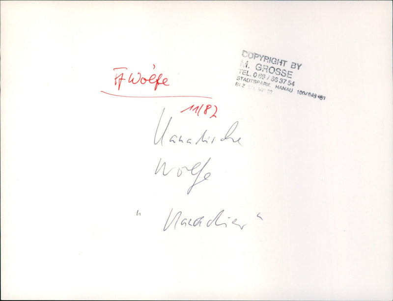 Zoo animals: wolf - Vintage Photograph