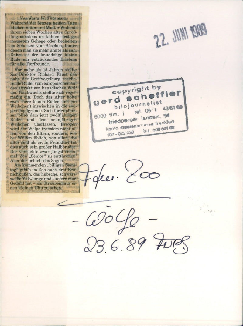 Zoo animals: wolves - Vintage Photograph