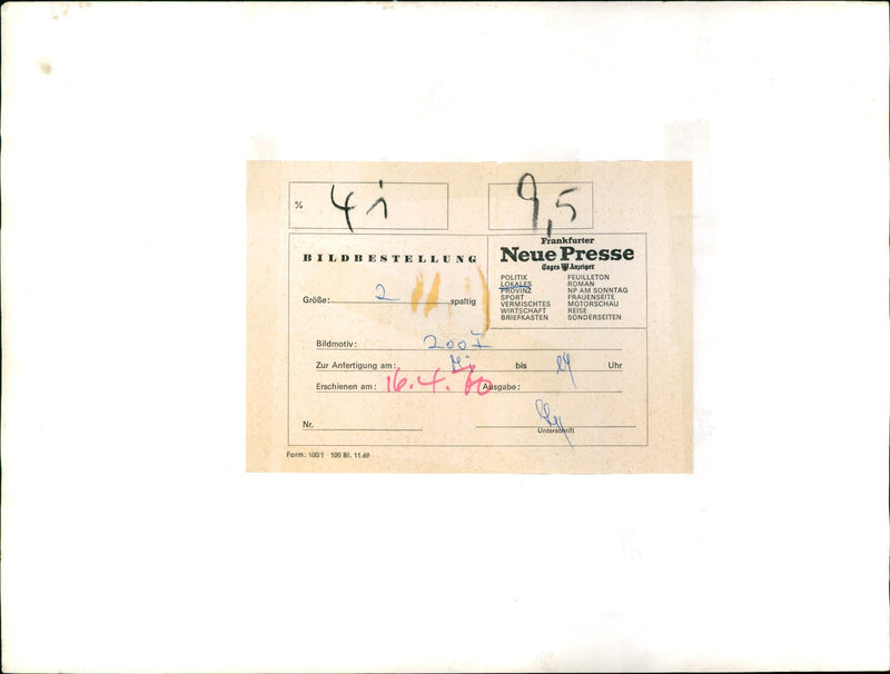 Zoo animals: wolves - Vintage Photograph