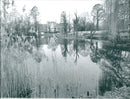 PONDS FNP TEL GRO HER GEGEL WEI CEITE NBAU ZWI - Vintage Photograph