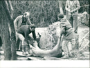 1991 STUNNING OPERATION HOOF CARE FUPIS HIT HEL FER TOW - Vintage Photograph