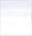 1986 EXOTARIUM LIZARDS IGUANA SKINKE BASIL GECHOS AGAMEN FILIGREE ANIMALS - Vintage Photograph