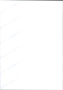 ANIMALS BIRD DIFFERENT FOUR PAIRS NATIVE SPECIES CENTRAL AND SOUT - Vintage Photograph