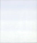 1994 ANIMALS EXOTARIUM CROCODILES AUSTRALIAN SWEET WATER CROC - Vintage Photograph