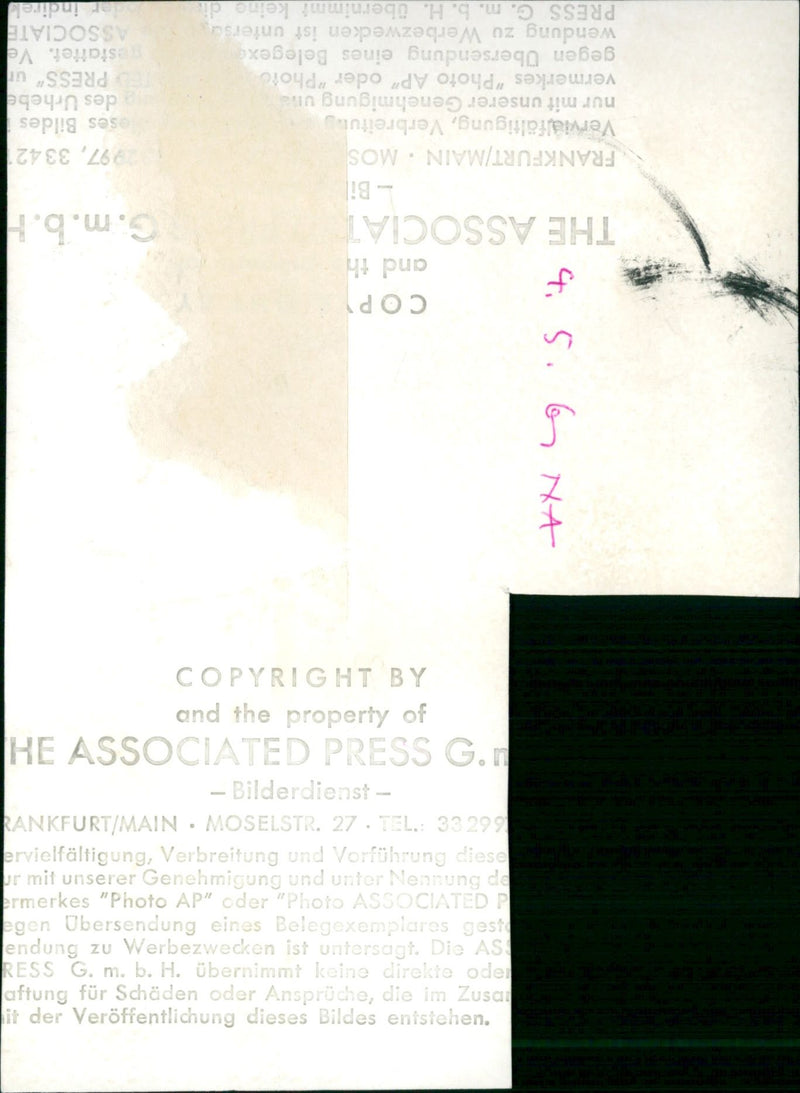 Snake with two heads - Vintage Photograph