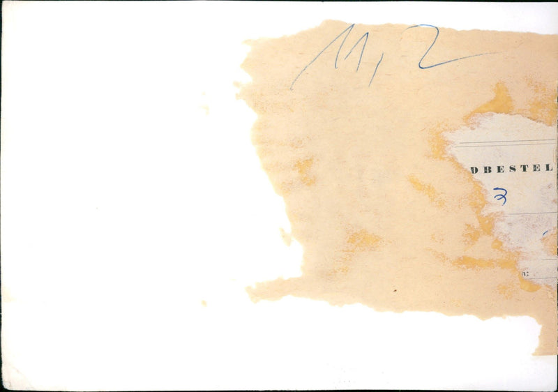 Snakes in the Exotarium, Frankfurt Zoo - Vintage Photograph