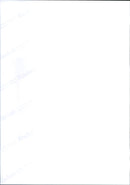 ANIMALS EXOTARIUM MISCELLANEOUS REPTILES ADHERE UPPER - Vintage Photograph