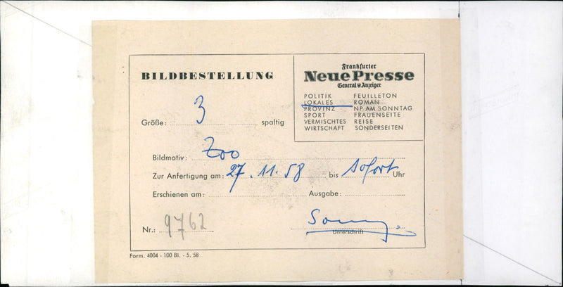 Zebra - zoo animals - Vintage Photograph