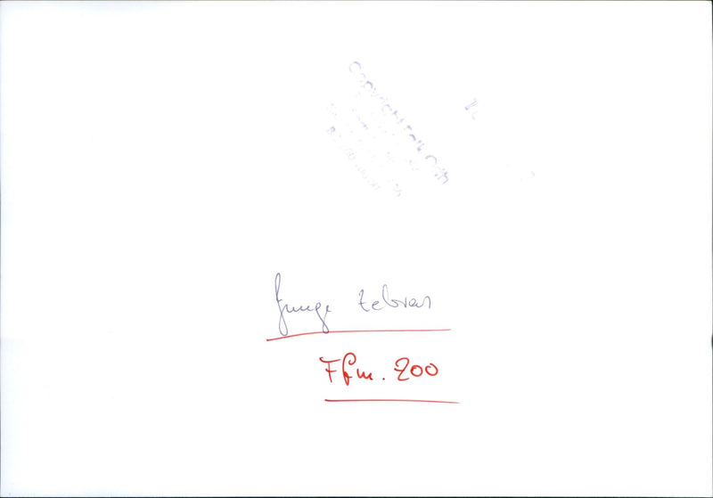 Zebra - zoo animals - Vintage Photograph