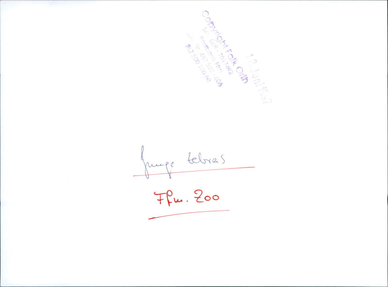 Zebra - zoo animals - Vintage Photograph