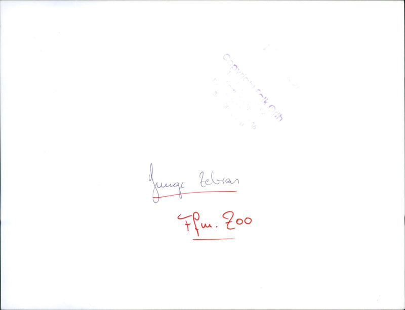 Zebra - zoo animals - Vintage Photograph