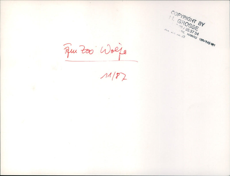 Zoo animals: wolves - Vintage Photograph