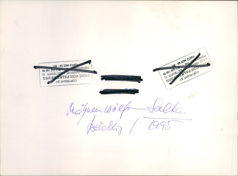 Zoo animals: she-wolf - Vintage Photograph