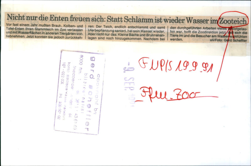 PONDS ALMOST AGO BRIDE PISTON AND TABLE DUCKS MUTEN - Vintage Photograph