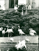 BUILDING SOCIETY THEATES FURMAN ESDNER BANK KTO NUMBER FFM - Vintage Photograph