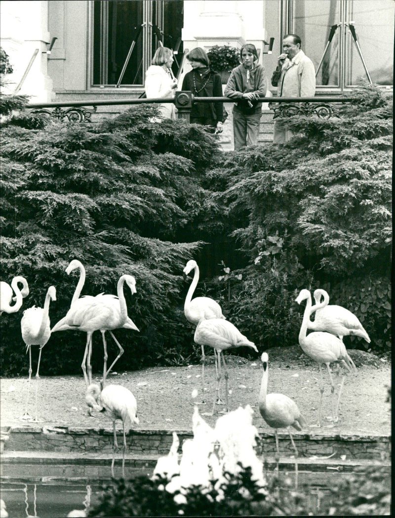 BUILDING SOCIETY THEATES FURMAN ESDNER BANK KTO NUMBER FFM - Vintage Photograph
