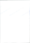 ANIMALS EXOTARIUM LIZARDS IGUANA SKINKE BASIL GECHOS - Vintage Photograph