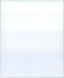 1990 ANIMALS EXOTARIUM SIX AUSTRALIAN SUWASSER CROCODILES ARE BEING PRESENTE JOHN - Vintage Photograph