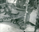 1969 ZOO ANIMALS EXOTARIUM CROCODILES AND OTHER REPTILES - Vintage Photograph