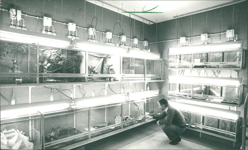 1984 ANIMALS VERSCH EXOTARIUM INST SECRETARINNENBURO NOW BREAKING AND INFIRMARY - Vintage Photograph