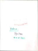 Zebra from the Frankfurt Zoo - Vintage Photograph