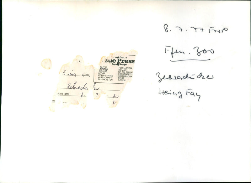 Zebra suckers from the Frankfurt Zoo - Vintage Photograph