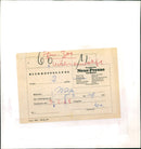 Zoo animals: wolves - Vintage Photograph