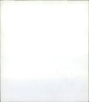 1985 FDWE PERDEIECE GREEN SEVERAL YOUNG PEOPLE OCCUPIED LANDSCAPE SPOT - Vintage Photograph