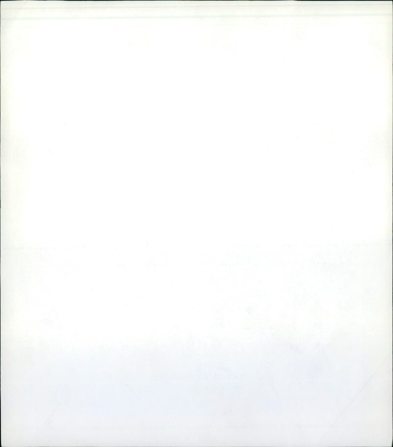 1985 FDWE PERDEIECE GREEN SEVERAL YOUNG PEOPLE OCCUPIED LANDSCAPE SPOT - Vintage Photograph