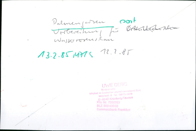 Water roses - palm garden - Vintage Photograph