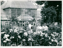 Rose and light festival in the palm garden - Vintage Photograph