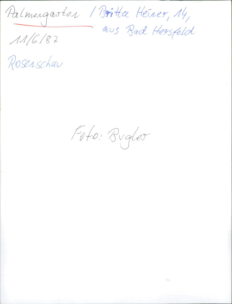 Rose show in palm garden - Vintage Photograph