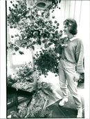 Rose show in palm garden - Vintage Photograph