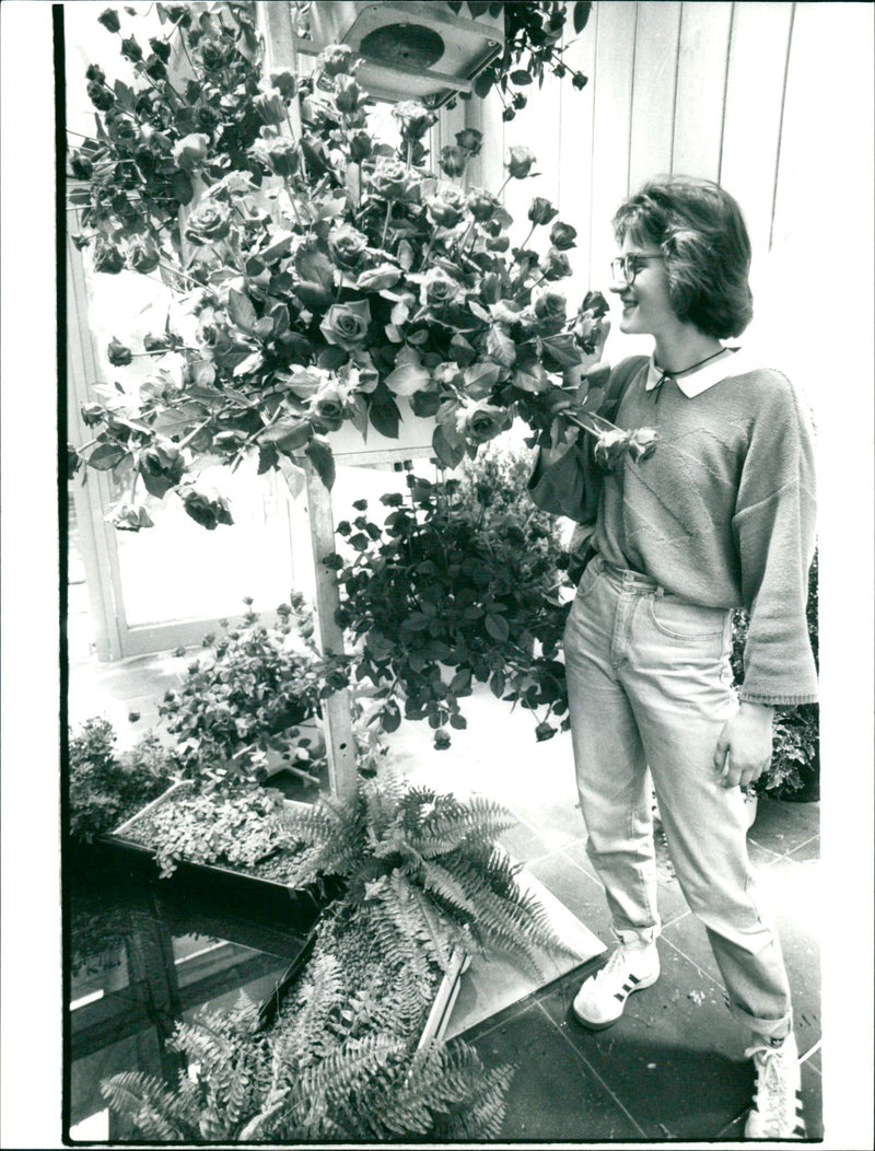 Rose show in palm garden - Vintage Photograph