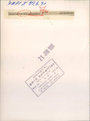 Rose show in the palm garden - Vintage Photograph