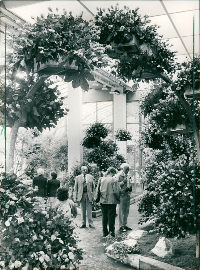 Rose show in the palm garden - Vintage Photograph