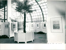 1989 PALM GARDEN VARIOUS EXHIBITIONS STEPHAN BECSEI FILM - Vintage Photograph