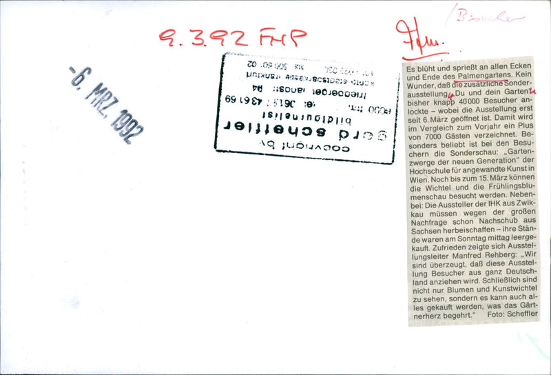 Palm garden in March 1992 - Vintage Photograph