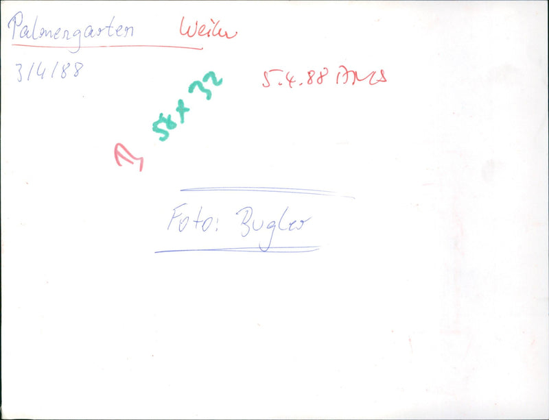 Pond - Vintage Photograph