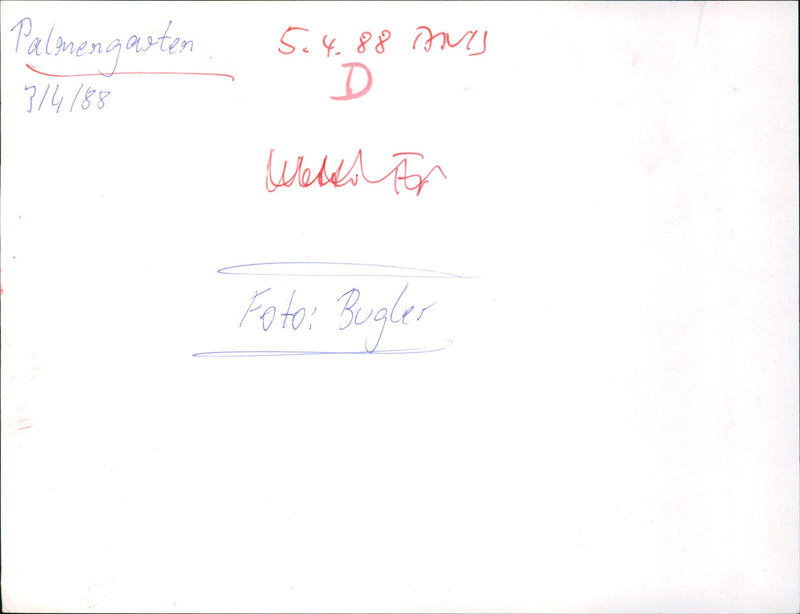 Palm garden in 1988 - Vintage Photograph